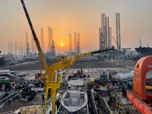 BV Class API-2C Offshore 3T@39M  TelescopicBoom Crane