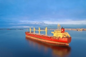 Bulk Carrier Crane: Professional Solutions for Dry Bulk Handling