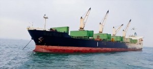 Bulk Carrier Crane: Professional Solutions for Dry Bulk Handling