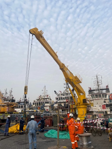 MAXTECH Cranes Shipped to UAE, Installation Progressing Smoothly