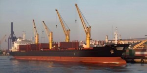 Bulk Carrier Crane: Professional Solutions for Dry Bulk Handling